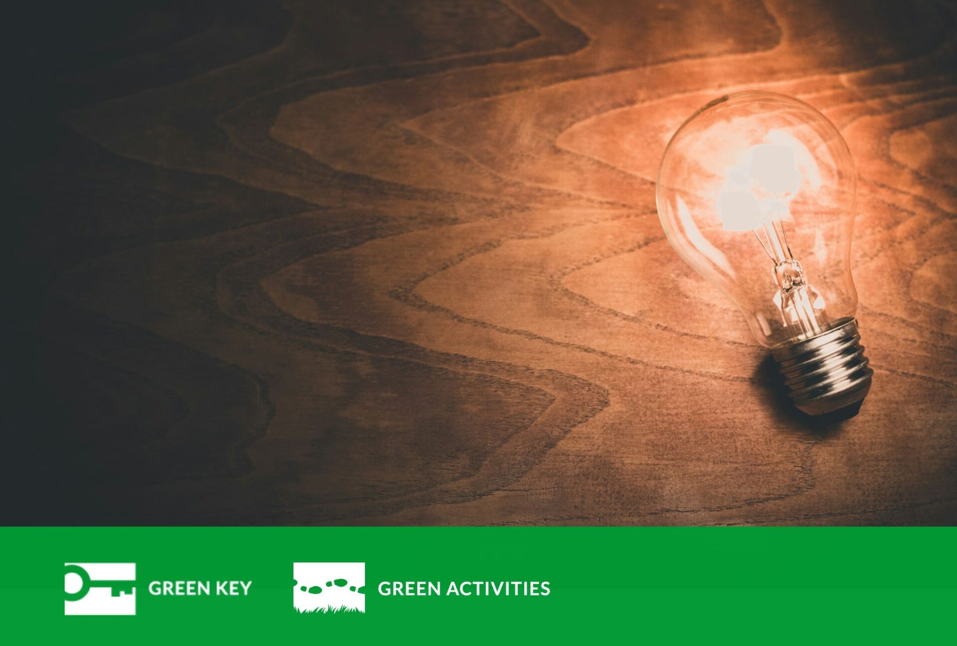 Puista taustaa kirkkaana hehkuva hehkulamppu.