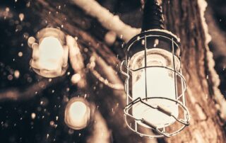 Puussa riippuvia valolamppuja pimeässä, lumisessa maisemassa.