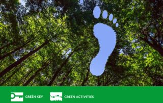 Vihreiden lehtipuiden latvustoon on editoitu paljas ihmisen jalanjälki, joka leikkaa latvuston läpi ja sen läpi näkyy sininen taivas.