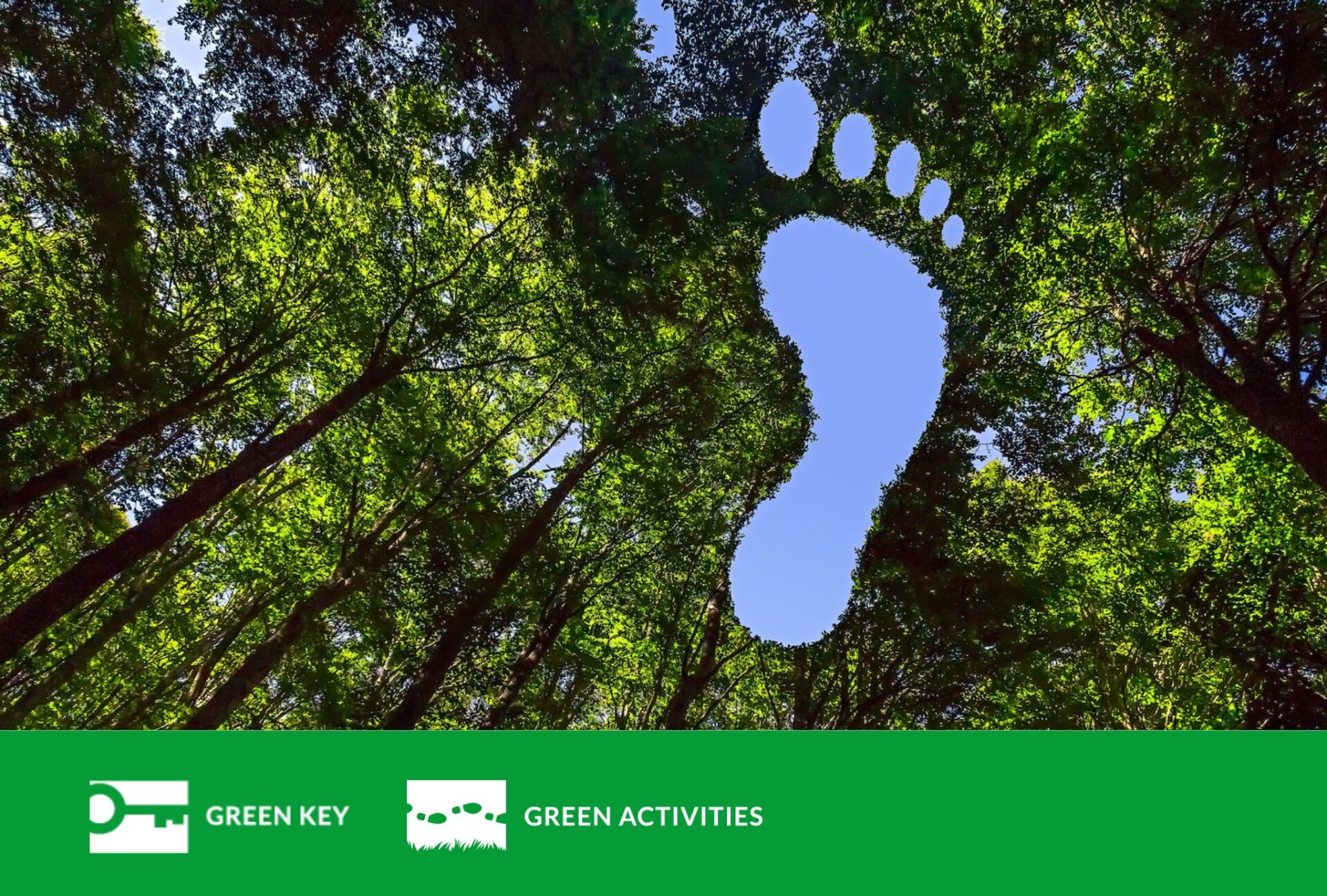 Vihreiden lehtipuiden latvustoon on editoitu paljas ihmisen jalanjälki, joka leikkaa latvuston läpi ja sen läpi näkyy sininen taivas.