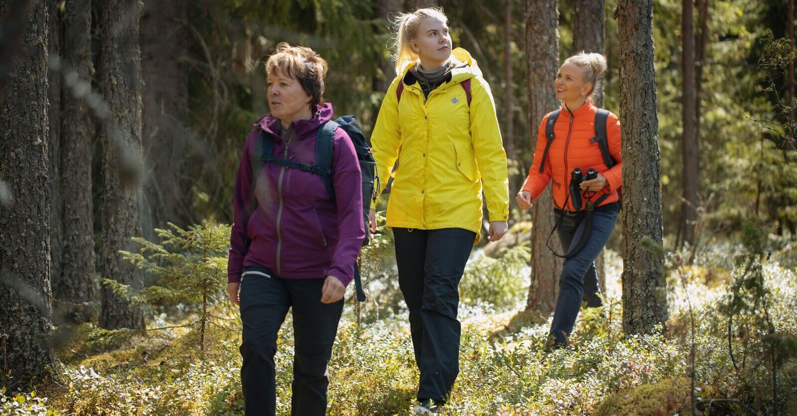Kolme ihmistä kävelemässä metsässä