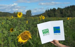 Green Key ja Green Activities -sertifikaattikannet auringonkukkapellolla